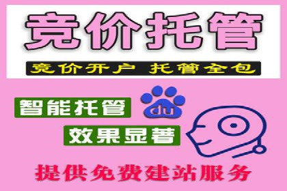SEM托管服务，成功案例见证转化奇迹